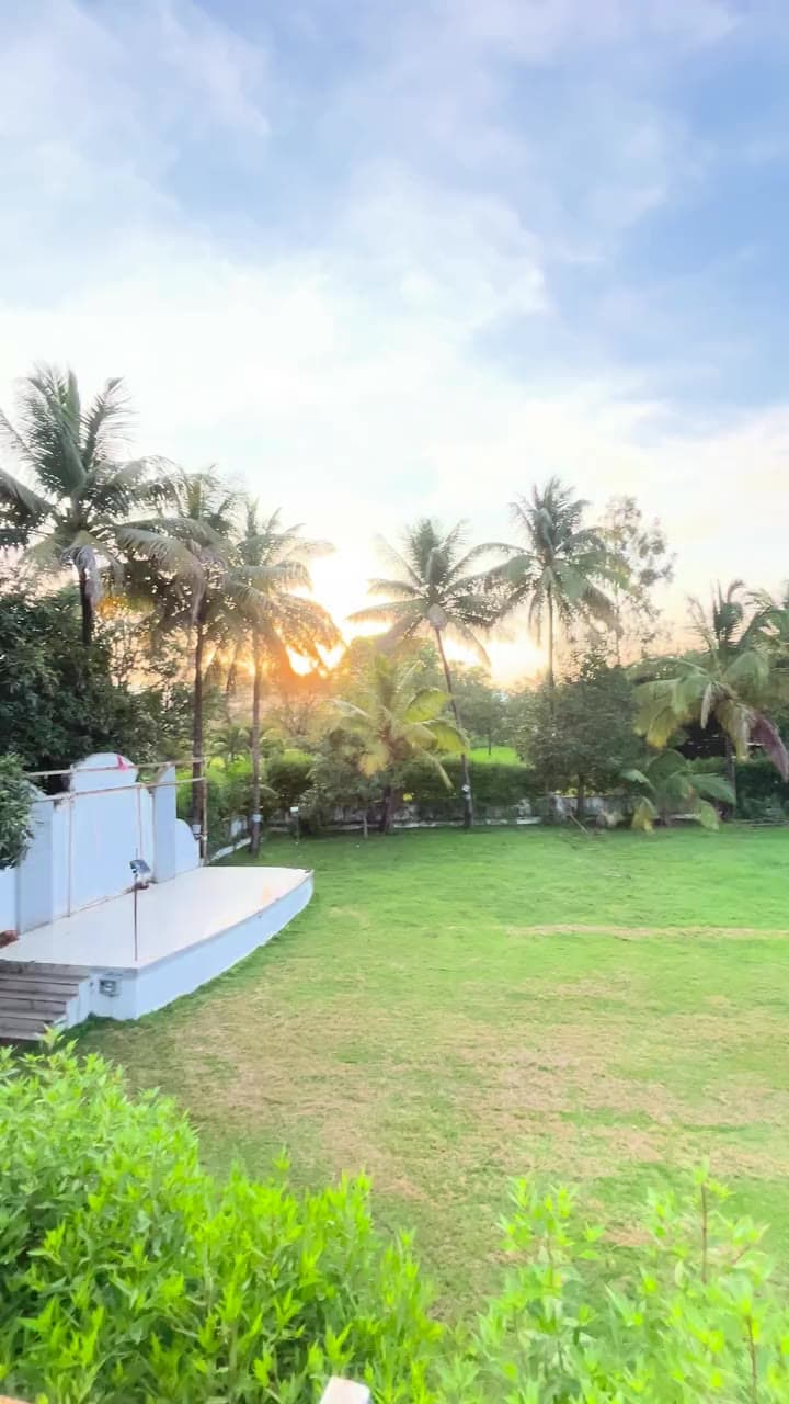 The big lawns at Sai Samrat under coconut palms