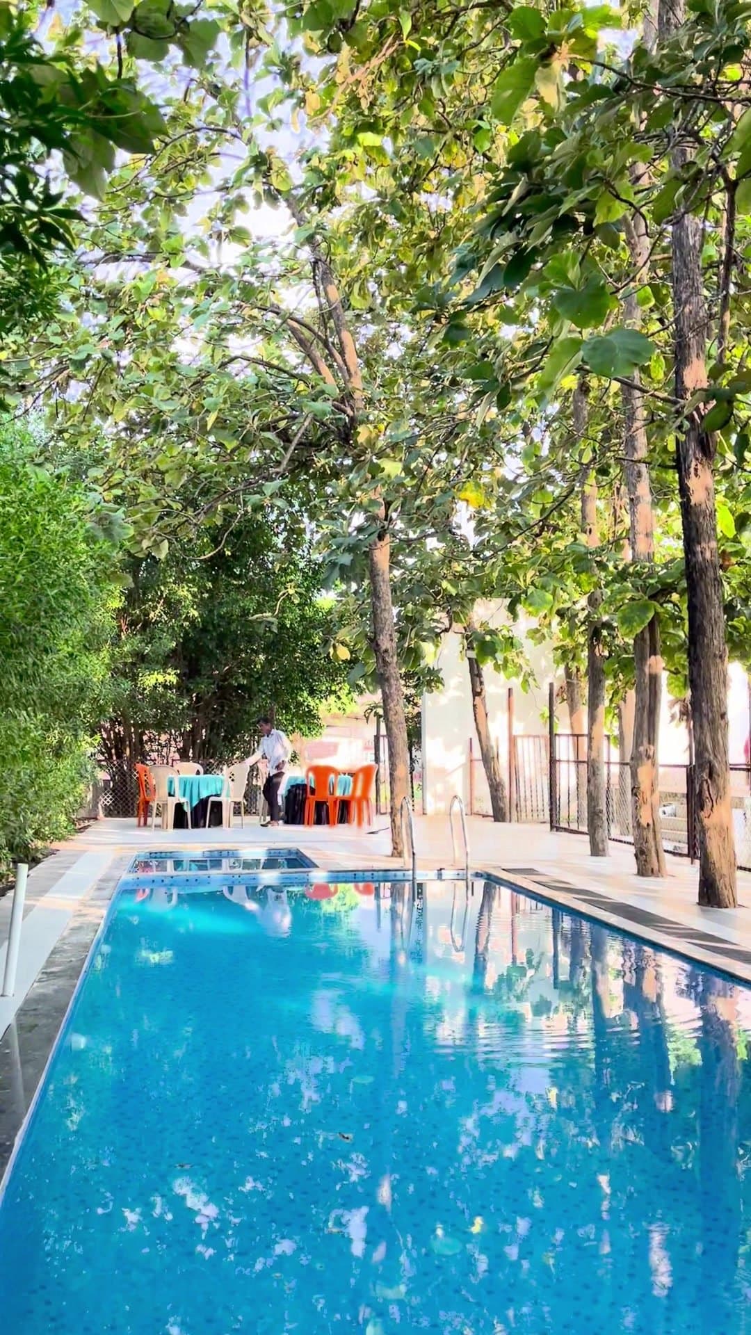 Swimming pool under tall trees